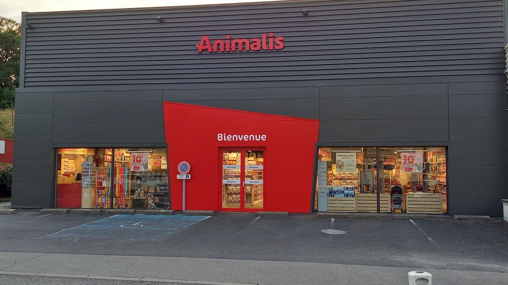 animalis et l'arche d'obi