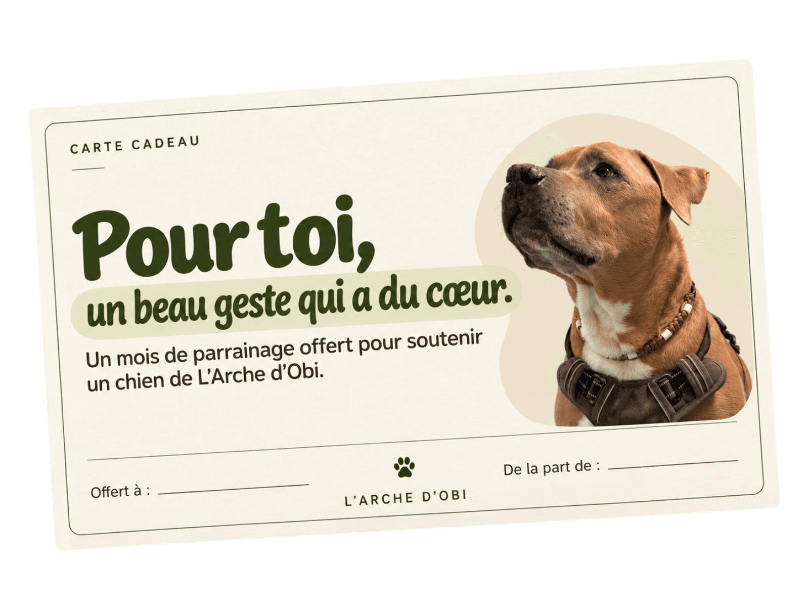 carte cadeau l'arche d'obi