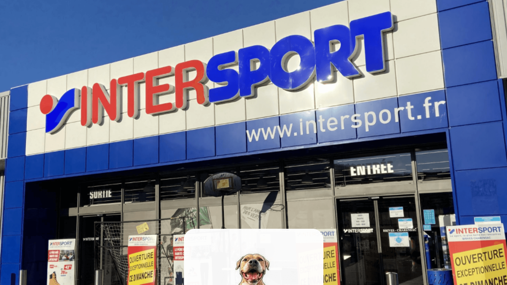 Intersprt_obi