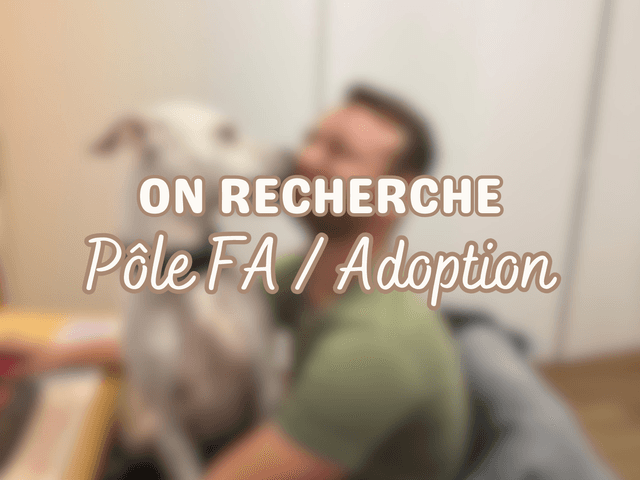 pôle f.a - l'arche d'obi