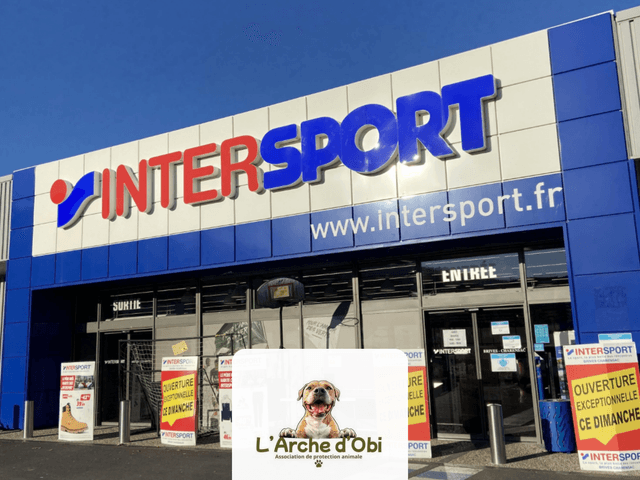 Intersprt_obi