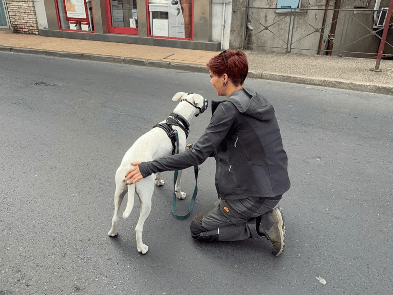 l'arche_dobi