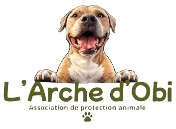 LâArche dâObi